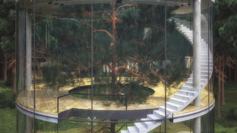 Cylindrical Glass House Built Around a Tree, Staircase 