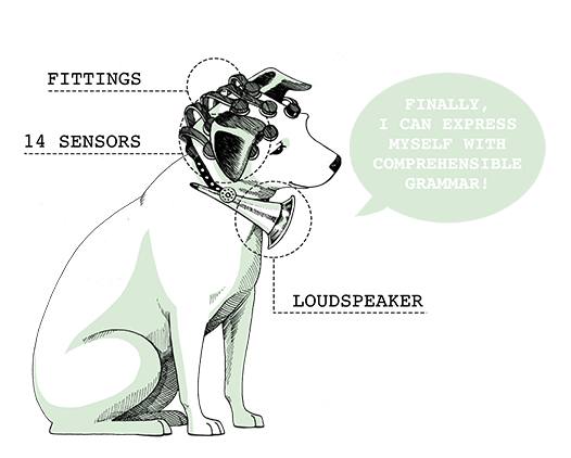 No More Woof Translates Animal Thoughts