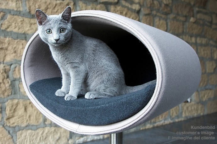 The Rondo Stand is the Newest Cat Crib