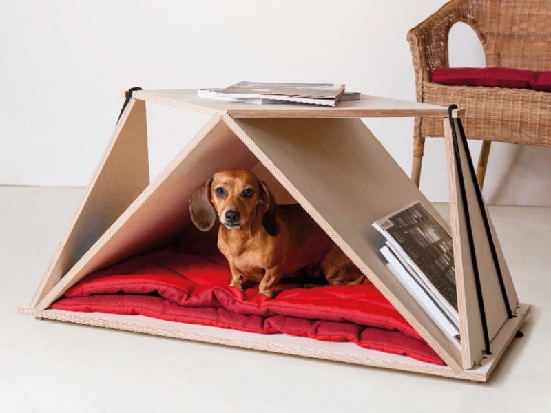 a-table-your-dog-will-love1