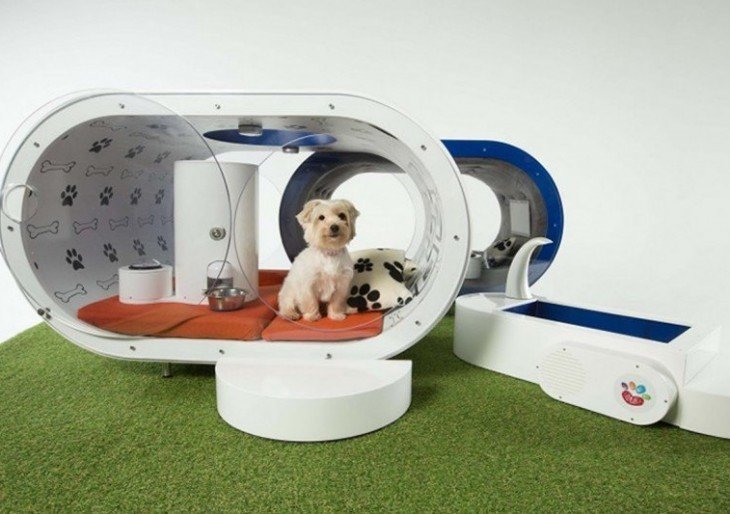 Samsung’s $30k Dream Doghouse Come With Tablet, Treadmill, Pool