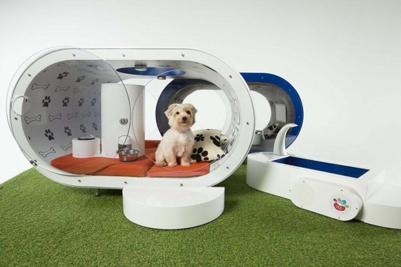 samsungs-30k-dream-doghouse-come-with-tablet-treadmill-pool1