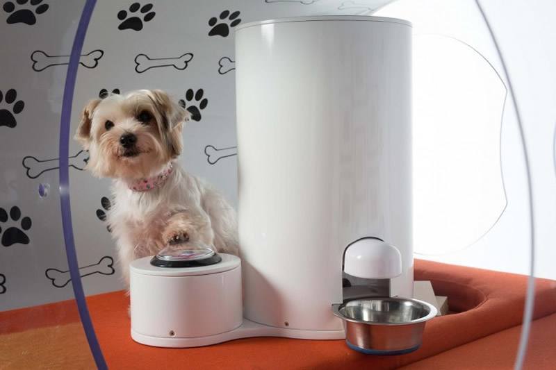samsungs-30k-dream-doghouse-come-with-tablet-treadmill-pool3