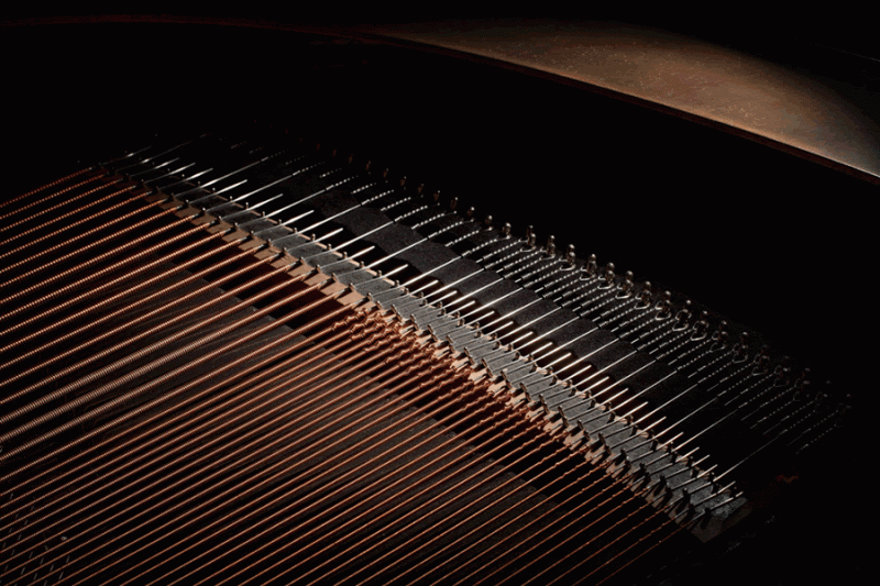 piano-maker-goldfinch-unveils-700k-baby-grand4
