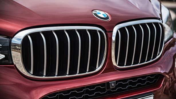 All-new BMW X6, Grille