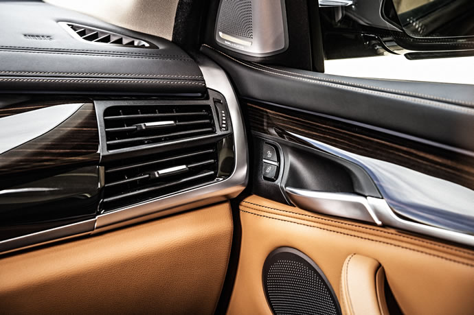 All-new BMW X6, Panel