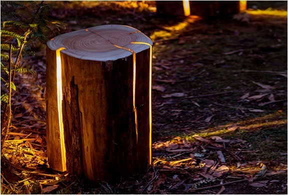 Cracked Log Lamps
