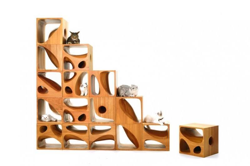 catable-2-0-are-stackable-wood-cubes-for-your-feline-friends1