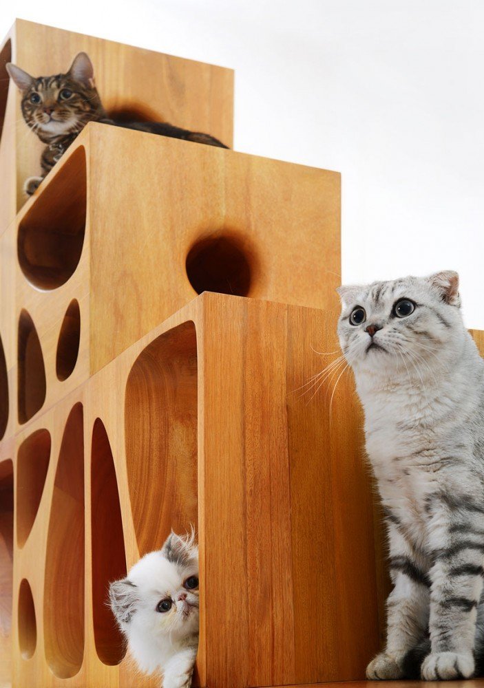 catable-2-0-are-stackable-wood-cubes-for-your-feline-friends7