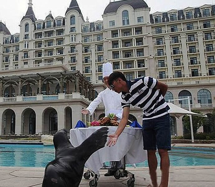 son-of-chinese-billionaire-reserves-five-star-hotels-pool-for-his-pet-sea-lion3