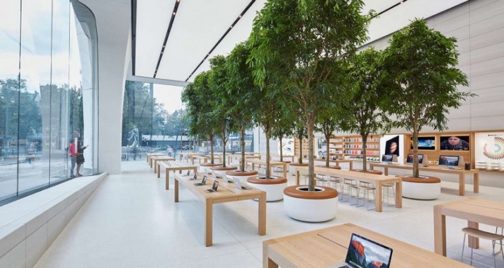 First Jony Ive-Designed Apple Store Features Live Trees