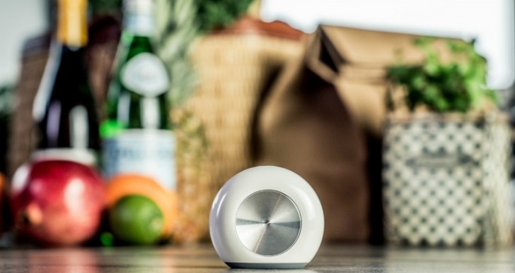 Hiku Helps You Remember the Milk—and Everything Else on Your Grocery List