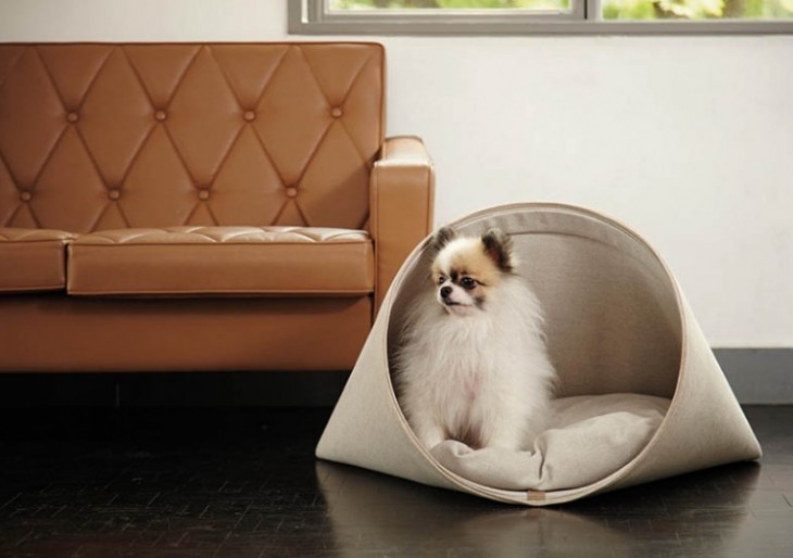 HOWLPOT Offers Designer Furnishings for Your Furry Companions