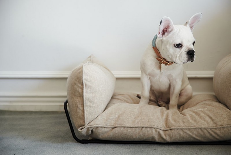 howlpot-offers-designer-furnishings-for-your-furry-companions6