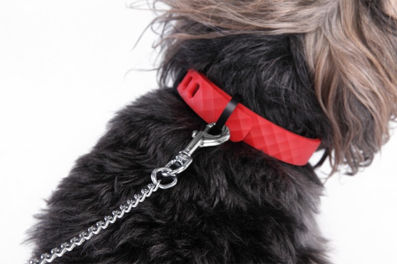 kyon-smart-collar-helps-you-keep-your-pet-safe-and-healthy8