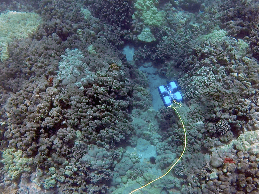 blue-robotics-introduces-the-blurov2-underwater-drone1