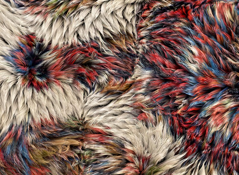 valerio-sommella-teams-up-with-moooi-on-richly-detailed-rug-collection2