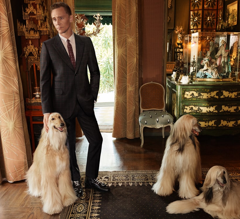 tom-hiddleston-and-a-trio-of-regal-pups-front-guccis-newest-cruise-campaign2