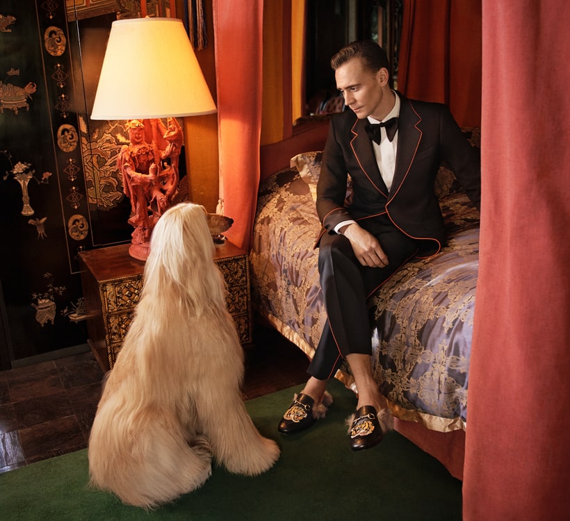 tom-hiddleston-and-a-trio-of-regal-pups-front-guccis-newest-cruise-campaign4