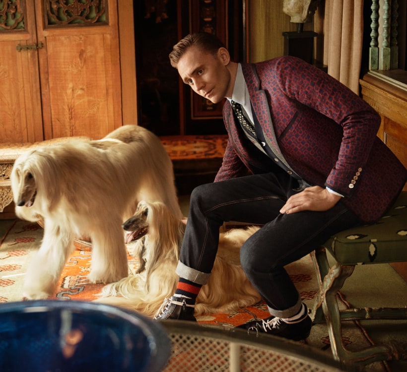 tom-hiddleston-and-a-trio-of-regal-pups-front-guccis-newest-cruise-campaign5