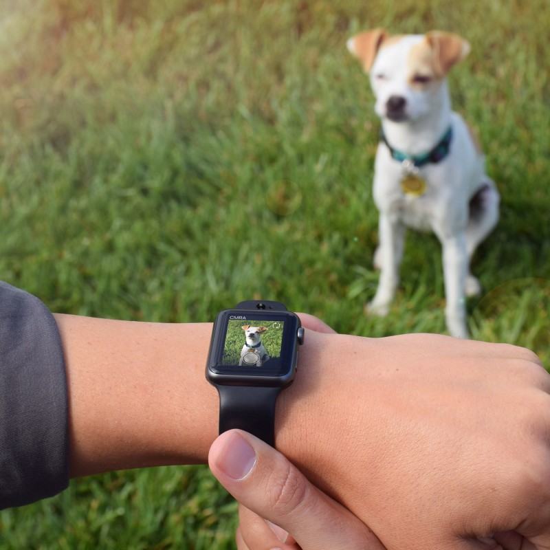 this-wristband-adds-camera-capability-to-the-apple-watch1