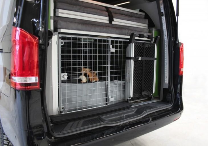 Highly adaptable VW Dog Camper is the ultimate RV for dogs and owners