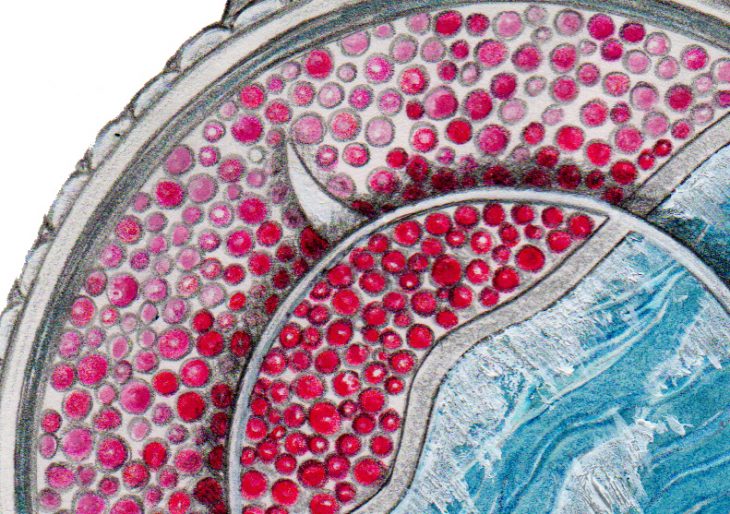 Fiona Kruger’s Fun, Artsy Dial Brightens Fabergé’s Dalliance Lady Liberty Watch