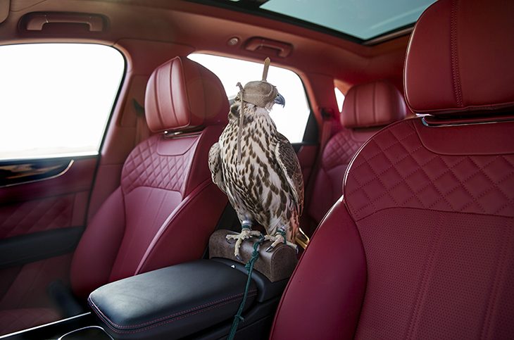 This Bentley Bentayga Is Built for Falconers