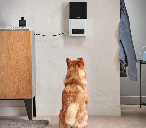 Petcube Bites Is a Treat-Launching Two-Way Communication System for Your Homebound Pets