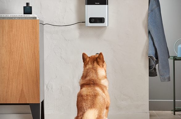 Petcube Bites Is a Treat-Launching Two-Way Communication System for Your Homebound Pets