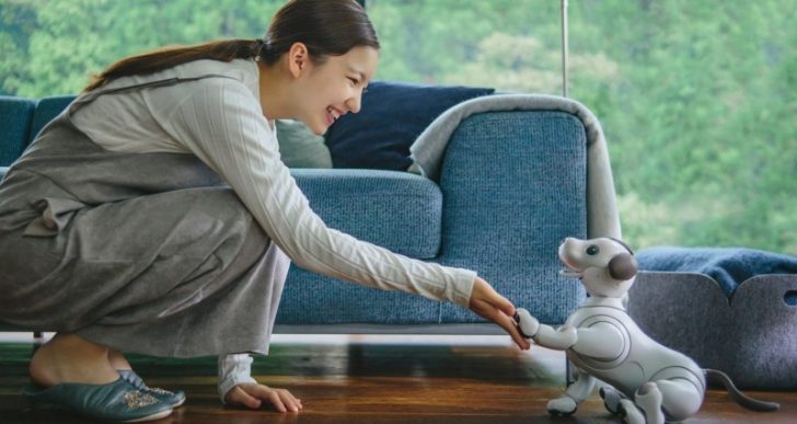 Ready or Not, Sony Reintroduces Aibo, the AI-Equipped Smart Dog