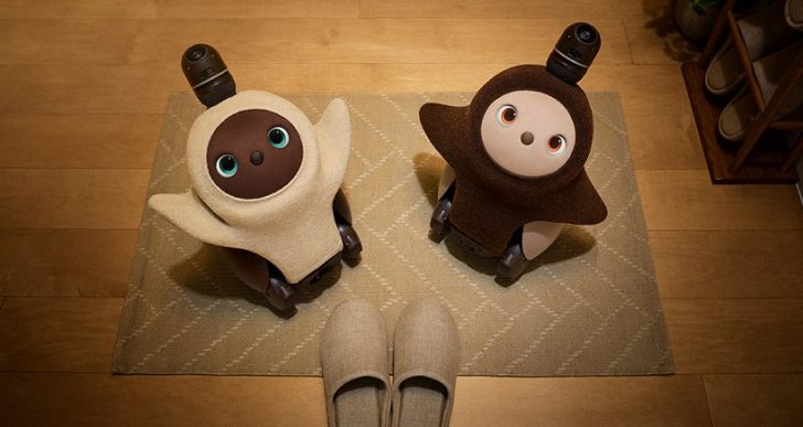Cuddly Robot Could Be the Companion of the Future