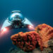 Submersibles Now Significantly More Affordable, With U-Boat Worx Slashing Price of Nemo 2 From $990K to $599K